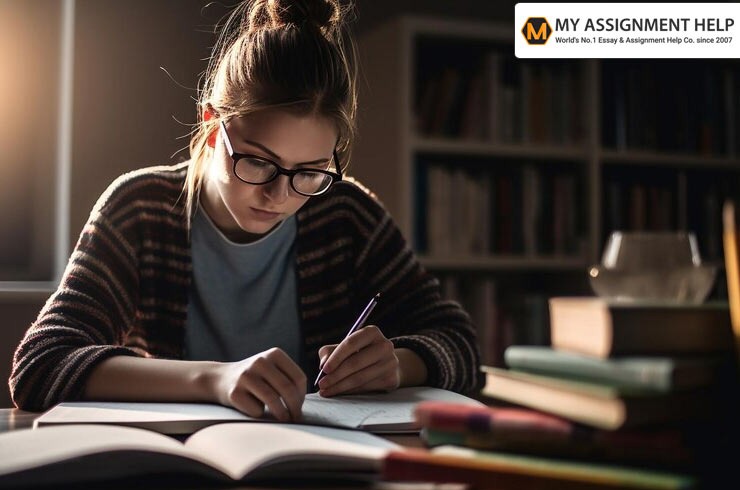 Why Students Are Turning to Experts for Programming Success