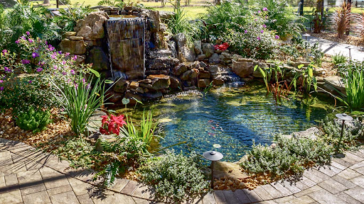 Best Pond Expert Near Me for Expert Pond Design and Repair