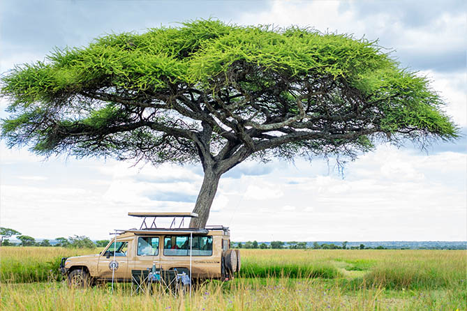 Tanzania Safari Company vs. Tour Broker: What’s the Difference