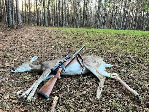 How Effective Traps Enhance Deer Control Bergen County Results